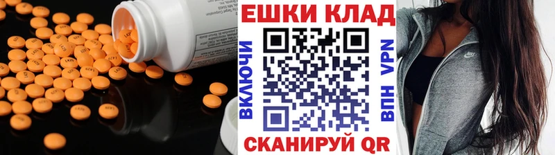 OMG ССЫЛКА  Кемь  Ecstasy Punisher 