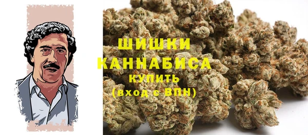МДПВ Верхний Тагил