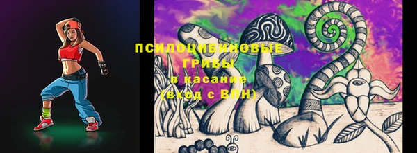 МДПВ Верхний Тагил