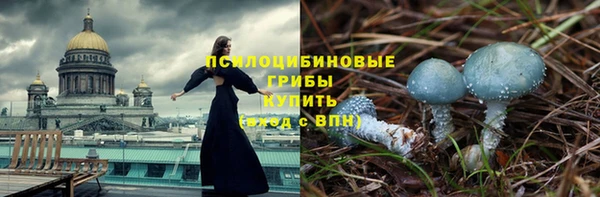 дмт Верея