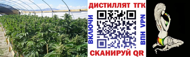 Дистиллят ТГК жижа  Кемь 